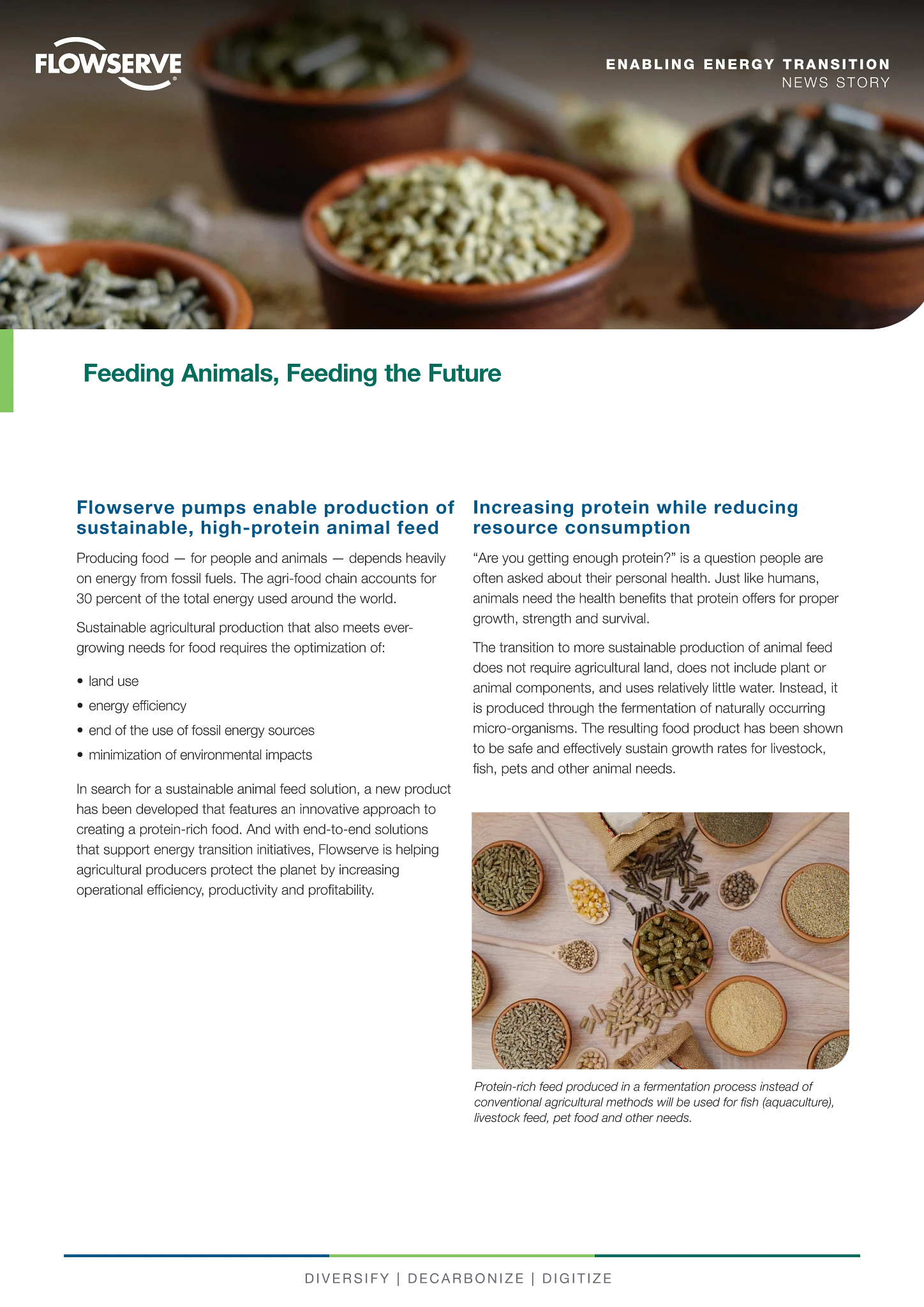 饲养动物，馈赠未来 - 能源转型新闻故事